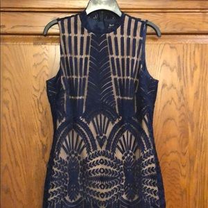 Bardot Lace Illusion Sheath Dress